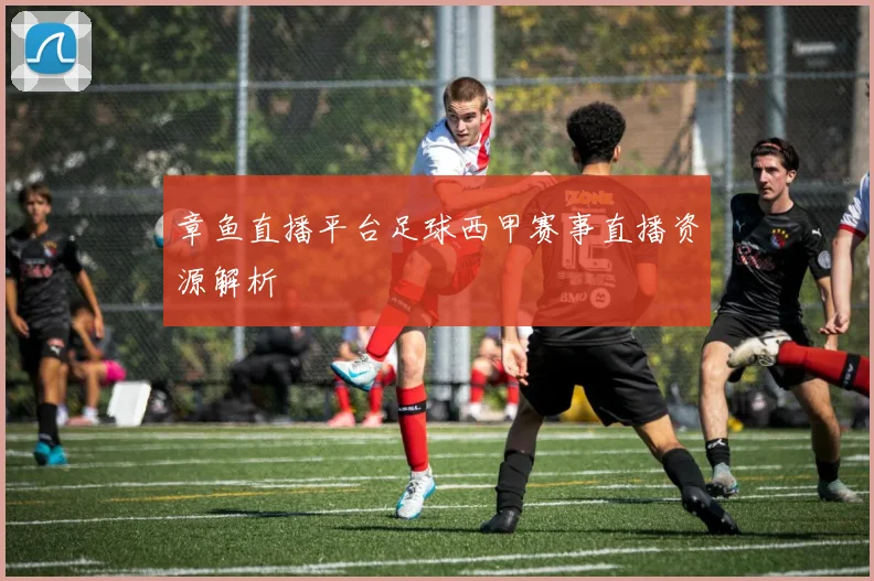 章鱼直播平台足球西甲赛事直播资源解析
