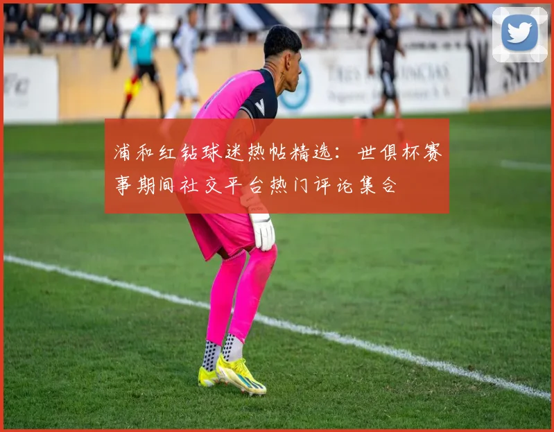 浦和红钻球迷热帖精选：世俱杯赛事期间社交平台热门评论集合