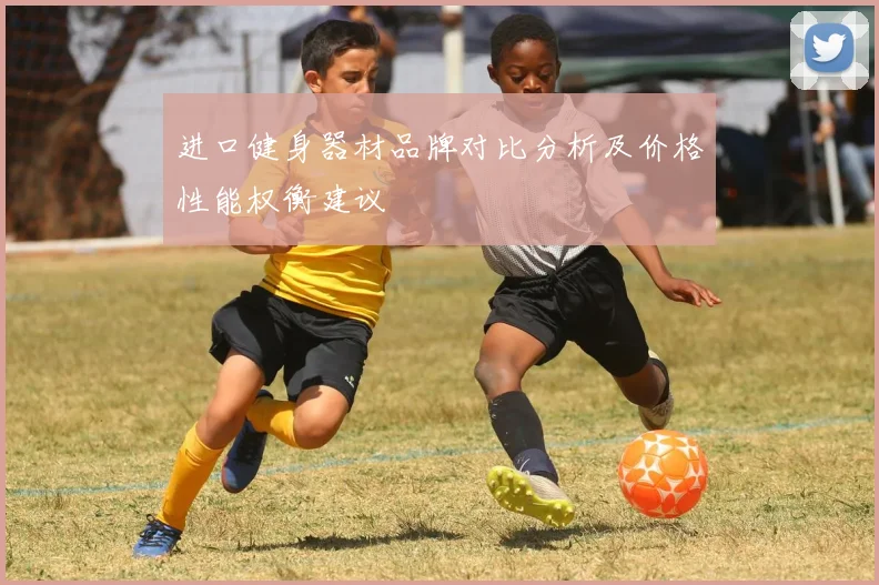 进口健身器材品牌对比分析及价格性能权衡建议