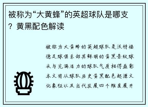 被称为“大黄蜂”的英超球队是哪支？黄黑配色解读